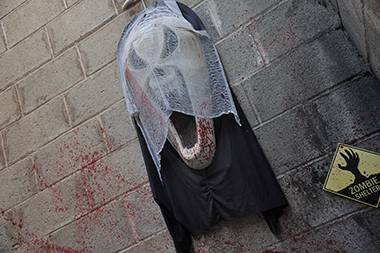 Zombie Walk 14