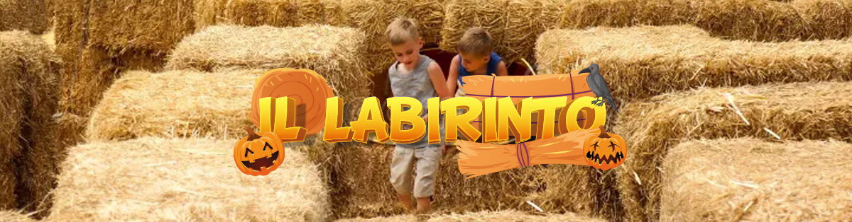 Il labirinto di Halloween 1